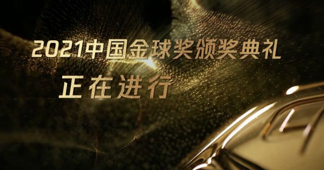 久久精品亚洲精品国产欧美